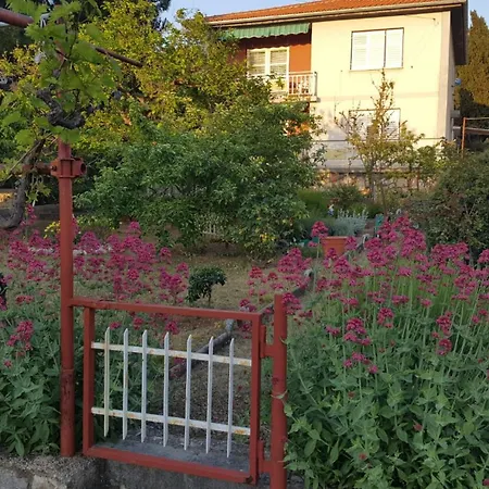Casa Mia 2 푸나트